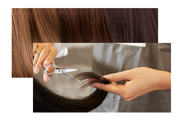 티아모_메인상단_우측